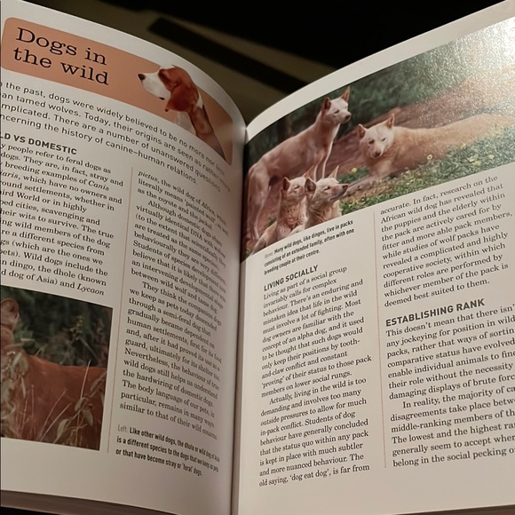 NWOT The Dog Care Handbook by - Picture 5 of 7